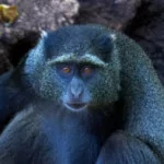 Profile picture of Arjuna71