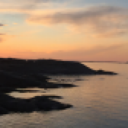 Profile picture of Zanzibar