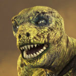 Profile picture of Kabolla