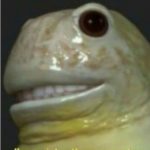 Profile picture of M Arn